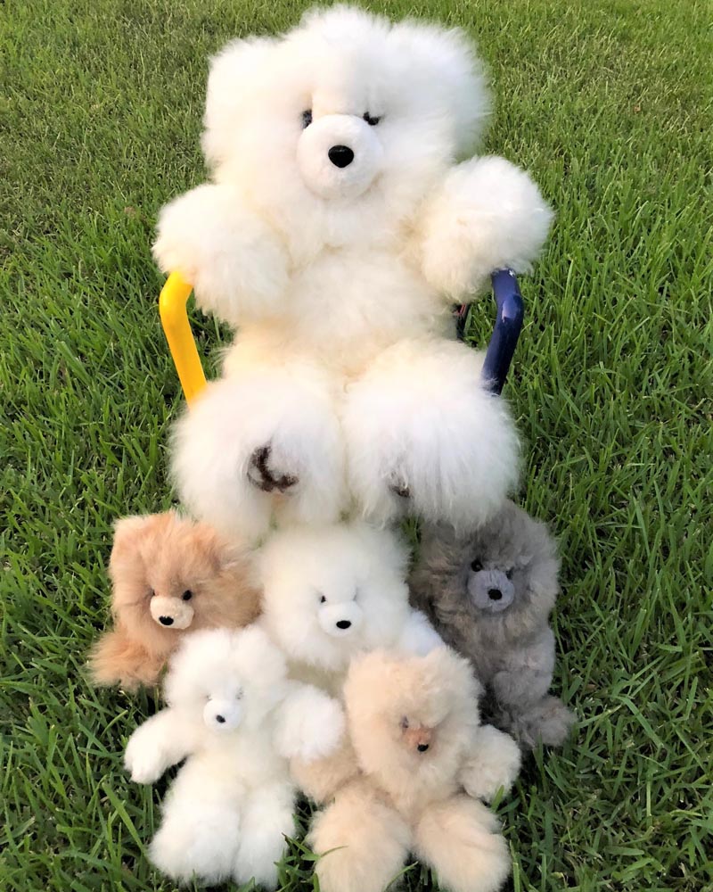 stuffed bears